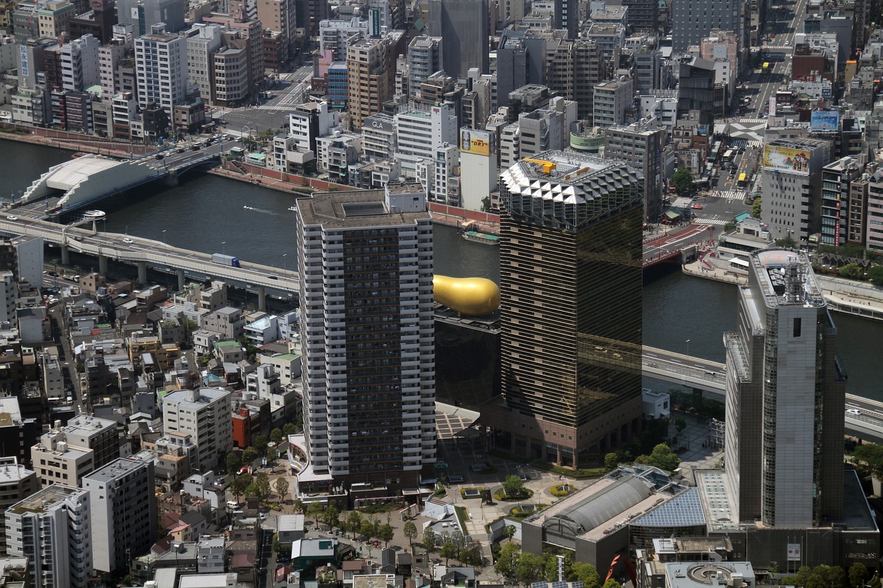 海口最新建设规划，塑造未来城市新面貌的蓝图